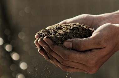 Understanding the Main Causes of Soil Pollution: A Comprehensive Guide—XRF technology